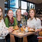 Polish Professional Women in the Netherlands